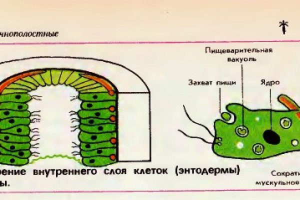 Угнали аккаунт кракен