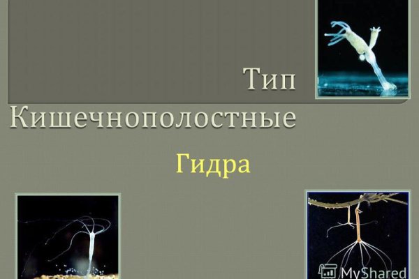 Кракен как попасть